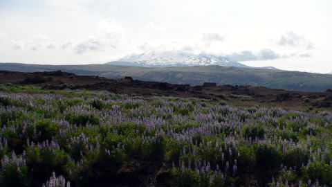 Helka Iceland