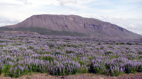 Helka Iceland